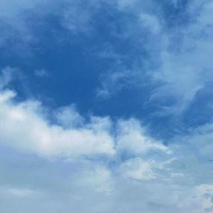 嫂嫂让小叔子帮忙生孩子电视剧
